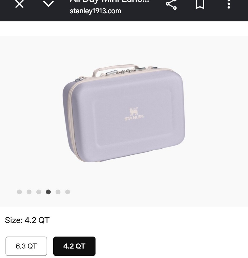 Stanley Tagged Bagged Beautiful Mini Lunch Box Light Purple Comes With Strap New